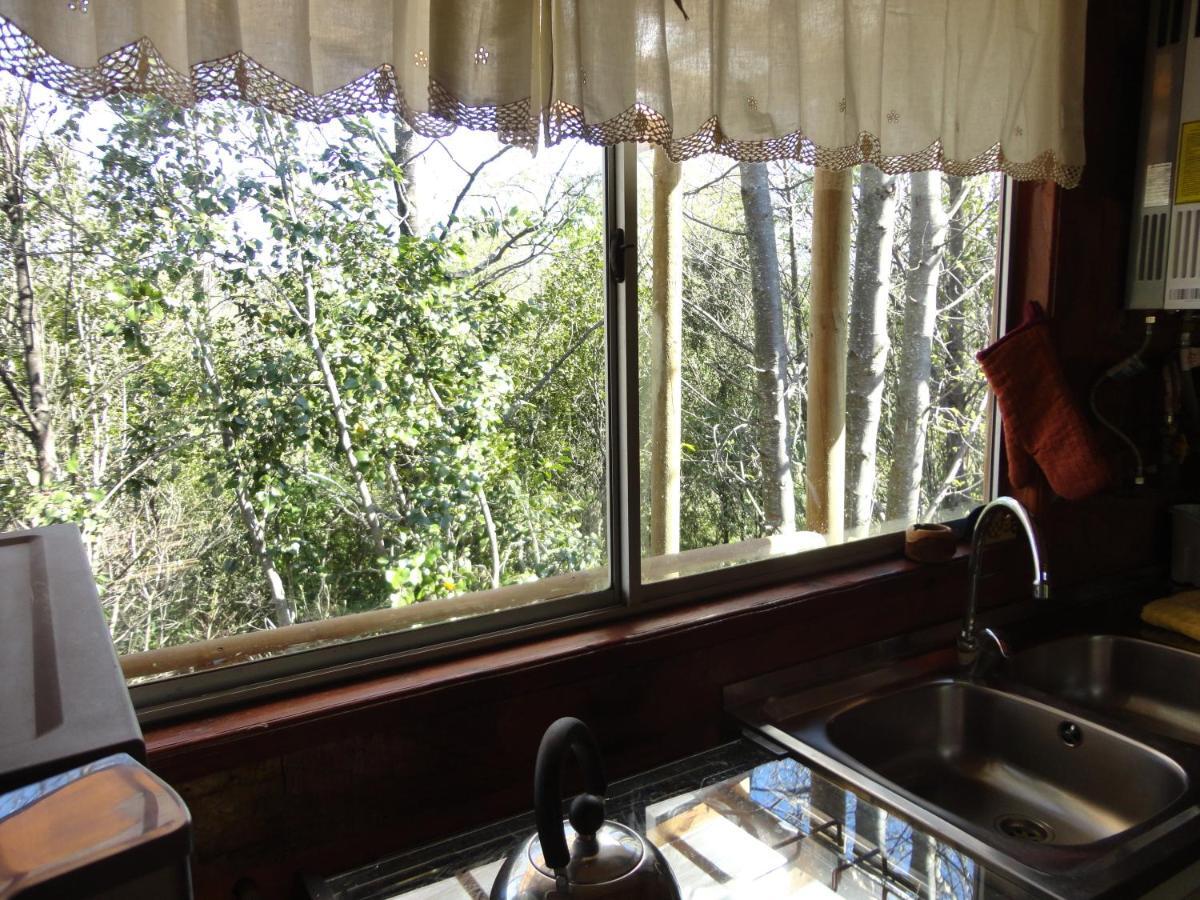 Cabanas Spa Bungalows Huarranchi Pucón Zewnętrze zdjęcie